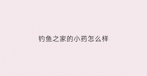 “钓鱼之家的小药怎么样(钓鱼之家的饵料怎么样)