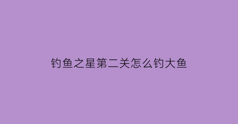 “钓鱼之星第二关怎么钓大鱼(钓鱼之星攻略)