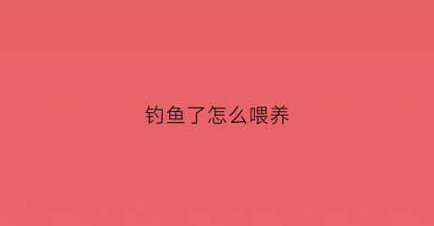 钓鱼了怎么喂养(钓鱼怎么养活)