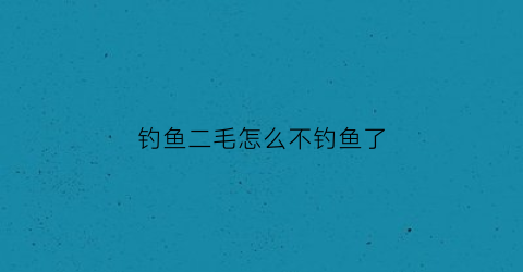 钓鱼二毛怎么不钓鱼了