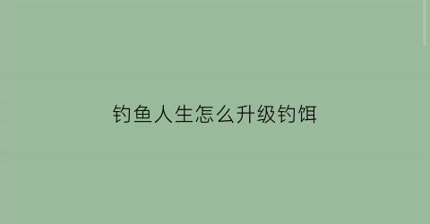 钓鱼人生怎么升级钓饵(钓鱼人生怎么钓鱼)