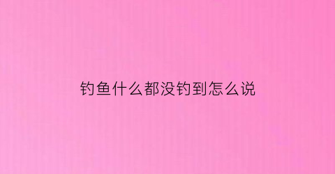 “钓鱼什么都没钓到怎么说(钓鱼没有钓到怎么调侃)