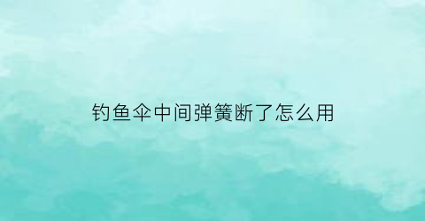 钓鱼伞中间弹簧断了怎么用(钓鱼伞杆中间的弹簧是干什么用的)