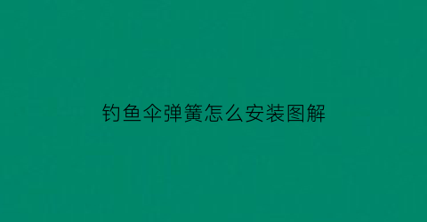 “钓鱼伞弹簧怎么安装图解(钓鱼伞弹簧怎么安装图解视频)