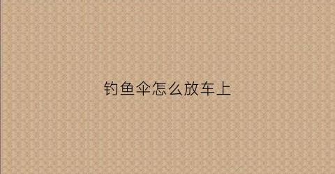 钓鱼伞怎么放车上(钓鱼伞怎么固定在座椅上)