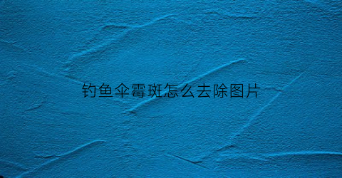 钓鱼伞霉斑怎么去除图片(钓鱼伞渗水怎么处理)