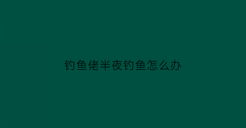 钓鱼佬半夜钓鱼怎么办(半夜钓鱼是什么意思)