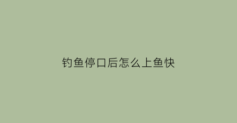 “钓鱼停口后怎么上鱼快(钓鱼停口后怎么上鱼快呢)