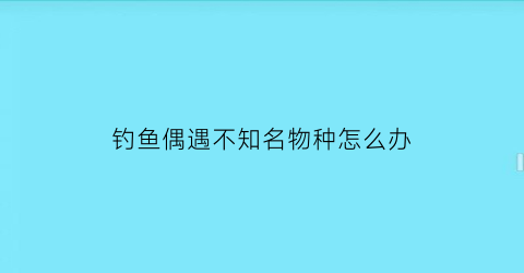 钓鱼偶遇不知名物种怎么办(钓鱼钓到奇怪的东西)