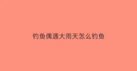 钓鱼偶遇大雨天怎么钓鱼