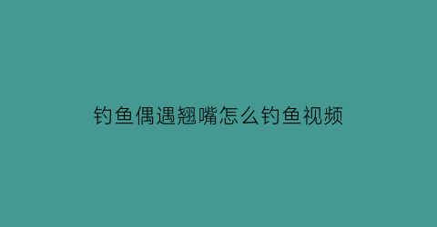 钓鱼偶遇翘嘴怎么钓鱼视频