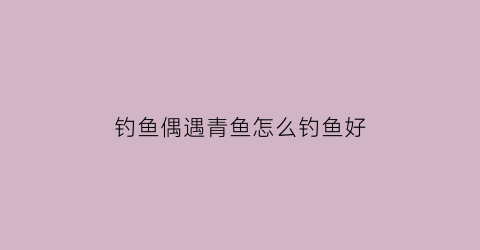 钓鱼偶遇青鱼怎么钓鱼好(野钓青鱼钓法)