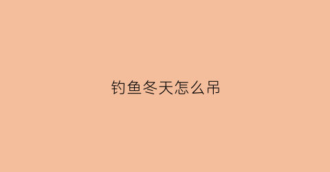 钓鱼冬天怎么吊(冬天吊鱼用什么饵料)