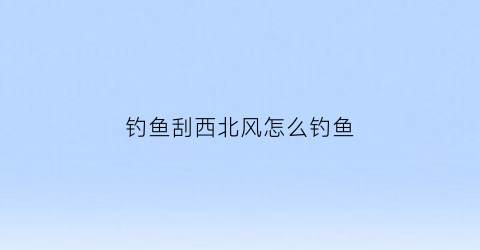 钓鱼刮西北风怎么钓鱼(钓鱼刮西北风怎么选钓位)
