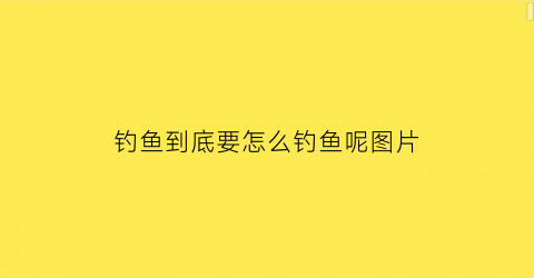 钓鱼到底要怎么钓鱼呢图片(钓鱼的要诀)