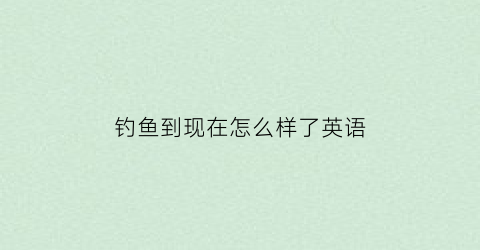 钓鱼到现在怎么样了英语(钓鱼到现在怎么样了英语翻译)