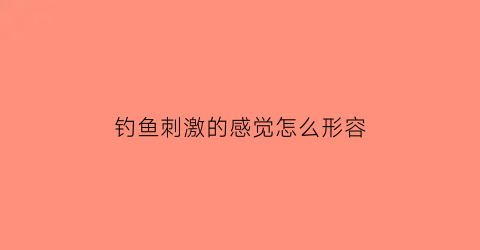 “钓鱼刺激的感觉怎么形容(钓鱼的感觉是怎样的)