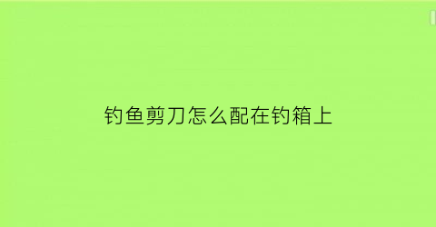 “钓鱼剪刀怎么配在钓箱上(钓箱剪刀位置)