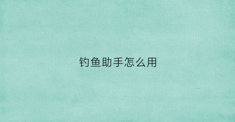 钓鱼助手怎么用(钓鱼助手怎么用的)