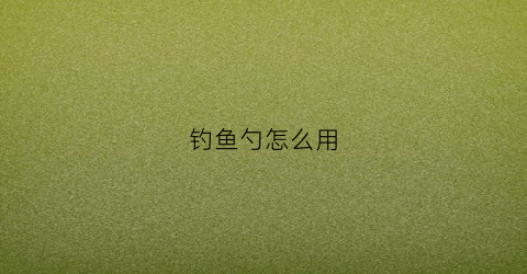 钓鱼勺怎么用(钓鱼勺怎么用最好)