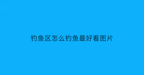 钓鱼区怎么钓鱼最好看图片(钓鱼区怎么钓鱼最好看图片)