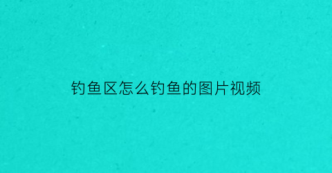钓鱼区怎么钓鱼的图片视频(钓鱼区规则图片)