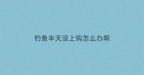 钓鱼半天没上钩怎么办啊(钓鱼半天没上钩怎么办啊视频)