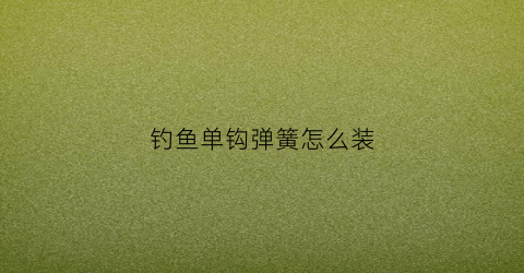 钓鱼单钩弹簧怎么装(钓鱼单钩弹簧怎么装图解)