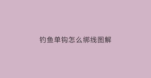 钓鱼单钩怎么绑线图解(钓鱼单钩怎么使用)