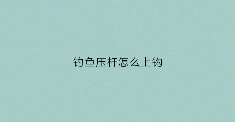 钓鱼压杆怎么上钩(台钓压杆)