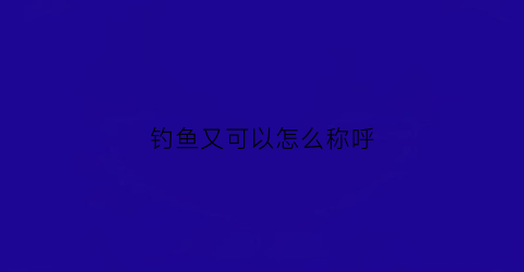 钓鱼又可以怎么称呼(钓鱼爱好者怎么称呼)