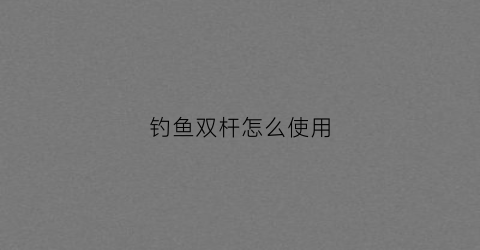 钓鱼双杆怎么使用(野钓双杆)