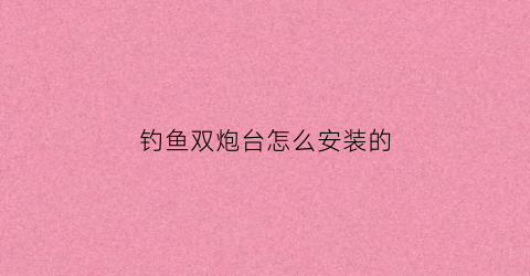 钓鱼双炮台怎么安装的(钓鱼双炮台怎么用)