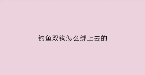 钓鱼双钩怎么绑上去的(钓鱼双勾怎么绑)