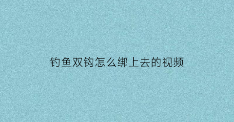 钓鱼双钩怎么绑上去的视频(钓鱼双钩怎么绑上去的视频教程)