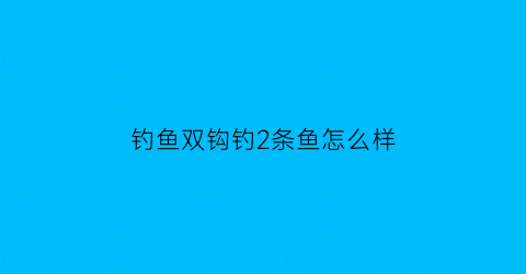 钓鱼双钩钓2条鱼怎么样(钓鱼双钩钓2条鱼怎么样好钓)
