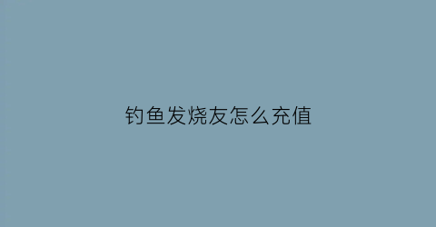 钓鱼发烧友怎么充值(钓鱼发烧友在哪里更新)