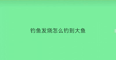 钓鱼发烧怎么钓到大鱼(钓鱼发烧友秒钓)