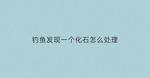 “钓鱼发现一个化石怎么处理(钓鱼钓到石头怎么办)