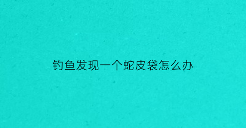 钓鱼发现一个蛇皮袋怎么办