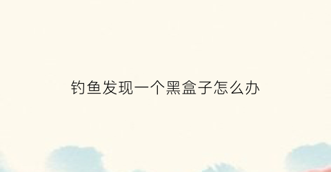 钓鱼发现一个黑盒子怎么办(钓鱼黑标是什么意思)