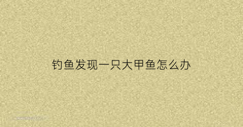 钓鱼发现一只大甲鱼怎么办(钓鱼钓到甲鱼是什么意思)