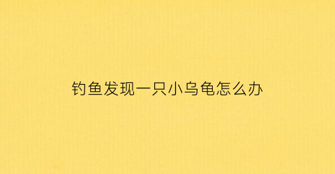 钓鱼发现一只小乌龟怎么办(钓鱼发现一只小乌龟怎么办视频)