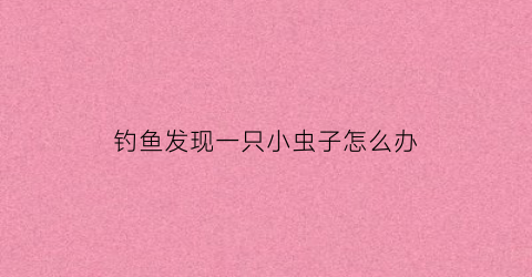 钓鱼发现一只小虫子怎么办(钓鱼有小鱼怎么办)