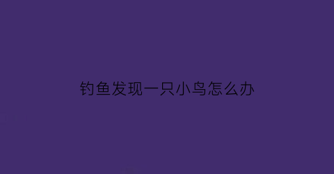 “钓鱼发现一只小鸟怎么办(钓鱼发现一只小鸟怎么办视频)