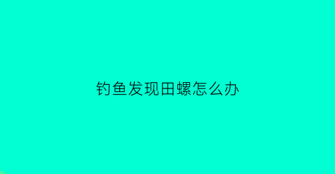 “钓鱼发现田螺怎么办(钓鱼发现田螺怎么办呢)