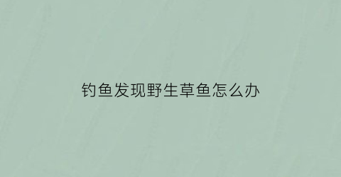 “钓鱼发现野生草鱼怎么办(钓野生草鱼用什么饵料)