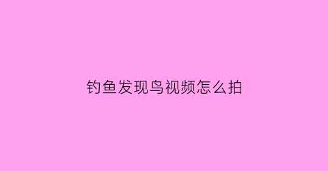 钓鱼发现鸟视频怎么拍