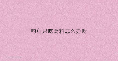 钓鱼只吃窝料怎么办呀
