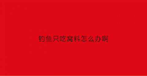 钓鱼只吃窝料怎么办啊(钓鱼只吃窝料怎么办啊)